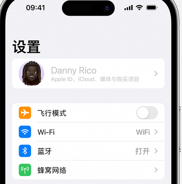 台州appleID维修服务iPhone设置中Apple ID显示为灰色无法使用