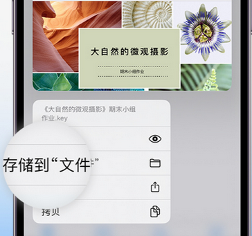 台州apple维修中心分享iPhone文件应用中存储和找到下载文件