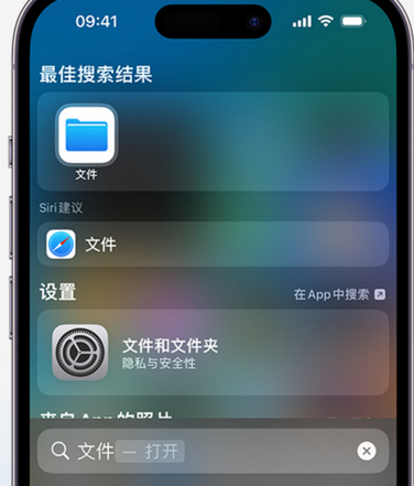 台州apple维修中心分享iPhone文件应用中存储和找到下载文件 