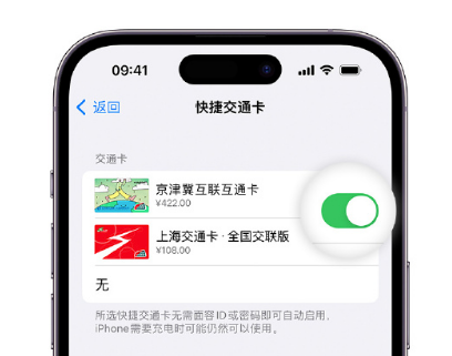 台州apple维修点分享iPhone上更换Apple Pay快捷交通卡手绘卡面 