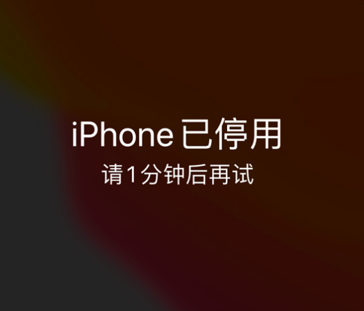 台州苹果手机维修分享:iPhone 显示“不可用”或“已停用”怎么办？还能保留数据吗？ 