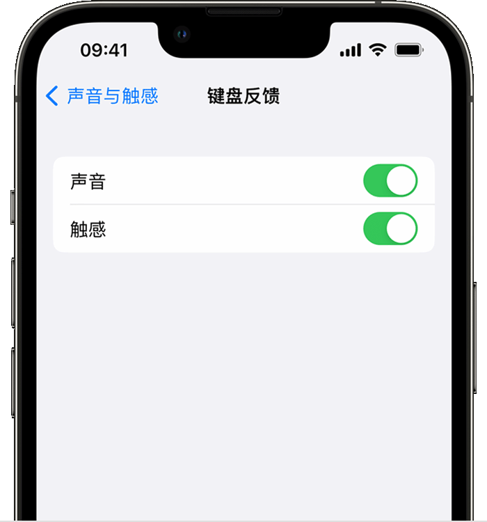 台州苹果14维修店分享如何在 iPhone 14 机型中使用触感键盘 