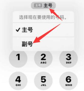 台州苹果14维修店分享iPhone 14 Pro Max使用副卡打电话的方法 