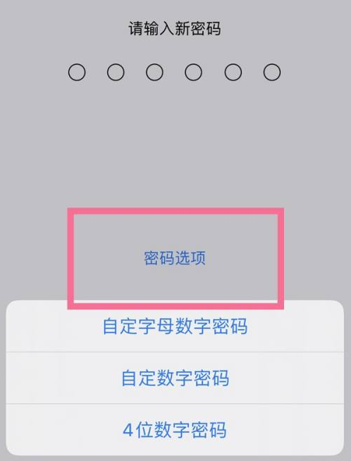 台州苹果14维修分享iPhone 14plus设置密码的方法 