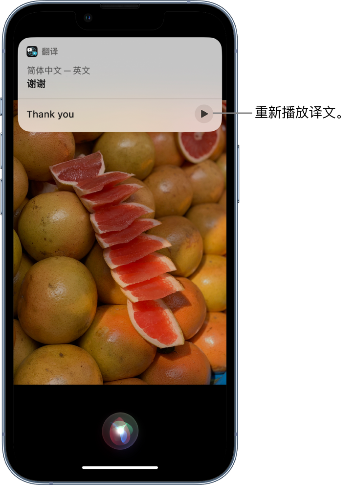 台州苹果14维修分享 iPhone 14 机型中使用 Siri：了解 Siri 能帮你做什么 