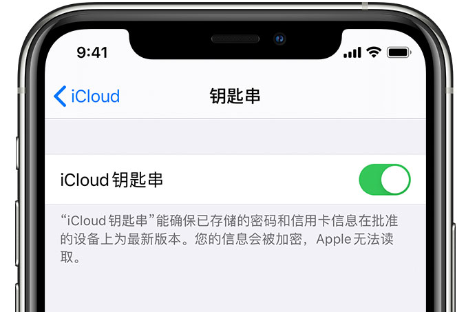 台州苹果手机维修分享在 iPhone 上开启 iCloud 钥匙串之后会储存哪些信息 