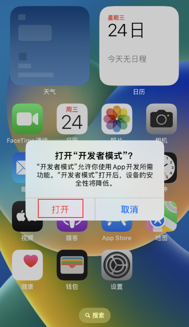 台州苹果手机维修分享如何打开开发者模式 