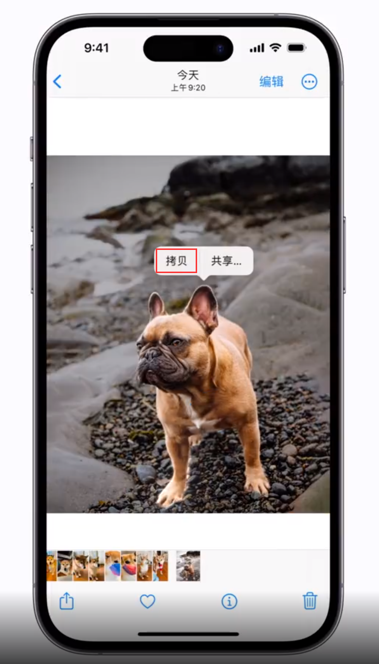 台州苹果手机维修分享 iOS 16 自带一键抠图功能 
