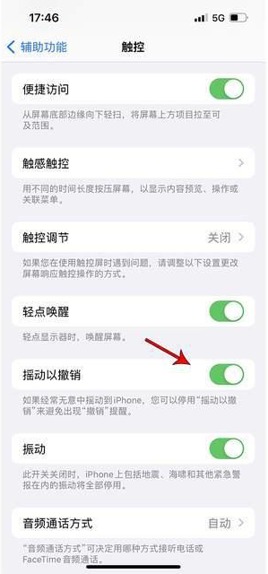 台州苹果手机维修分享iPhone手机如何设置摇一摇删除文字 