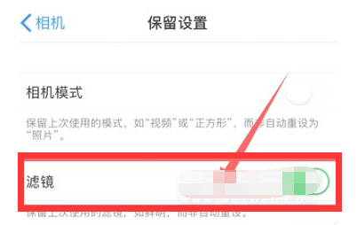 台州苹果13维修分享iPhone13拍照有绿点是怎么回事 