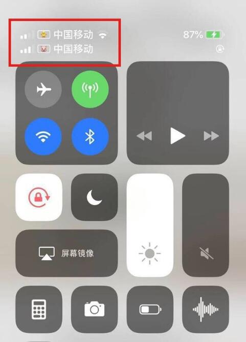 台州苹果手机维修分享为 iPhone 12 双卡设置标签 